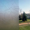 Autumn Privacy Decorative Window Film