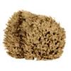 CRL Sponges
