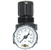 Pressure Regulator and Gauge