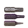 Torx Insert Bits