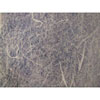 Gossamer Deco Privacy Decorative Window Film