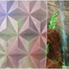 Clear Prisms Designer Decorative Window Film