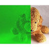 Green Colored Window Film