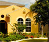 Neutral Solar Window Film 