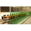 Green Colored Window Film
