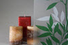 Frosted Green Leaf Bamboo Privacy Designer Decorative Window Film