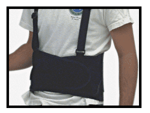 C.R. Laurence CRL Small Back Belt With Suspenders | 5900SB