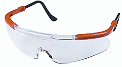 C.R. Laurence Radians Classic Glasses with Clear Lens  | CL0210