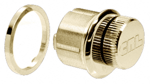 C.R. Laurence CRL Polished Brass Mortised Low Profile Thumbturn  | DRA22PB