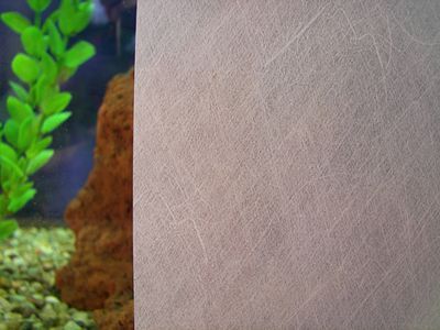 Fiberglass Privacy Decorative Window Film | REM0100447010