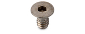 TechnologyLK 10-24 x 1/4&quot; Long Flat Head Socket Cap Screw - Pack of 10 | GHDBH1