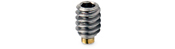 TechnologyLK 10-24 x 1/4&quot; Long Brass Tip Socket Screw | GHDBT2