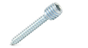 TechnologyLK 5/16-18 x 5/16&quot; (1-1/2&quot; OAL) Combination Screw | GHDCBS1
