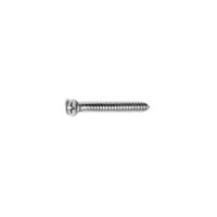 TechnologyLK #8 x 1-1/2&quot; Long Oval Head Screw - Pack of 10 | GHDPS2