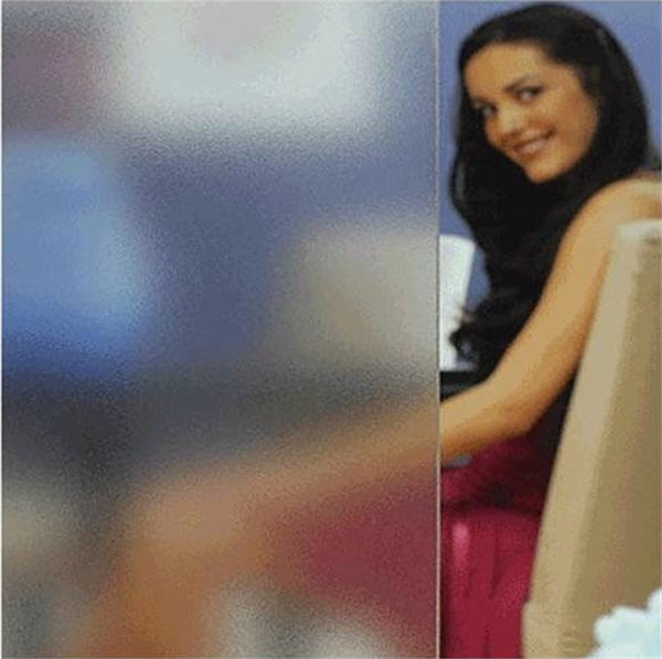 CRL Glass Decorative Film 48&quot; x 8 ft. Clear Frost Pattern | SX1301 | SX1301