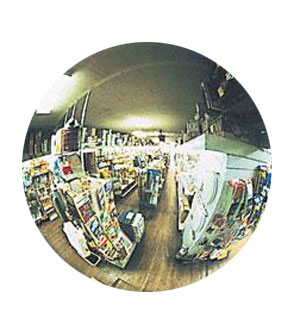 SEEALL 36&quot; Acrylic Convex Economy Mirror Indoor | TPLX36