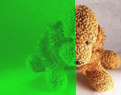 Translucent Green Color Window Film 48&quot; Wide x 85 ft. Roll | REM0510548085