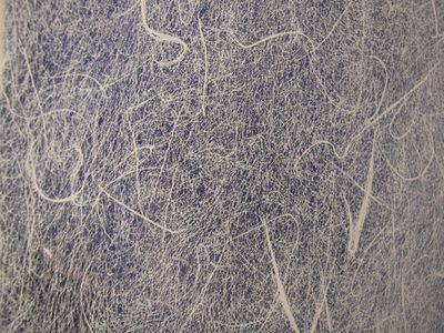 Shoji Gossamer Decorative Privacy Window Film 46&quot; Wide x 50 ft. Roll | REM0302946050