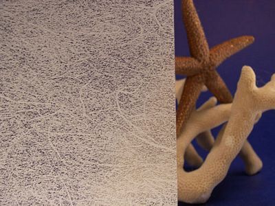 Shoji Translucent Gossamer Decorative Privacy Window Film 36&quot; Wide x 50 ft. Roll | REM0300436050